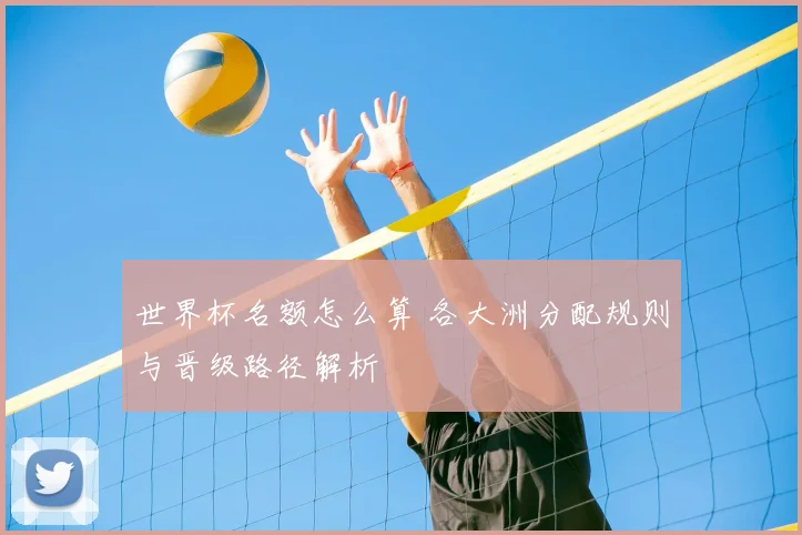 世界杯名额怎么算 各大洲分配规则与晋级路径解析