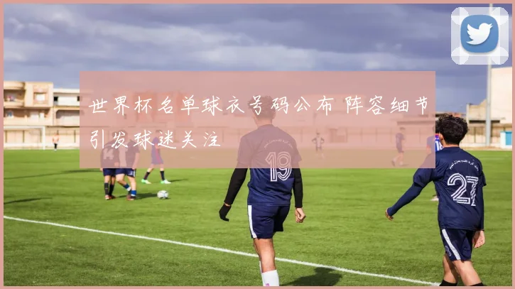 世界杯名单球衣号码公布 阵容细节引发球迷关注