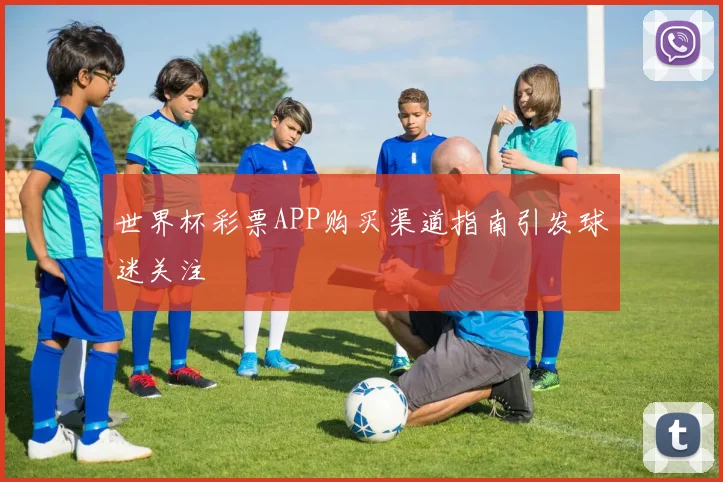 世界杯彩票APP购买渠道指南引发球迷关注