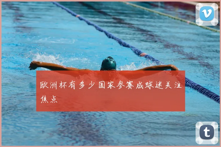 欧洲杯有多少国家参赛成球迷关注焦点