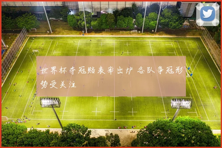 世界杯夺冠赔表率出炉 各队争冠形势受关注