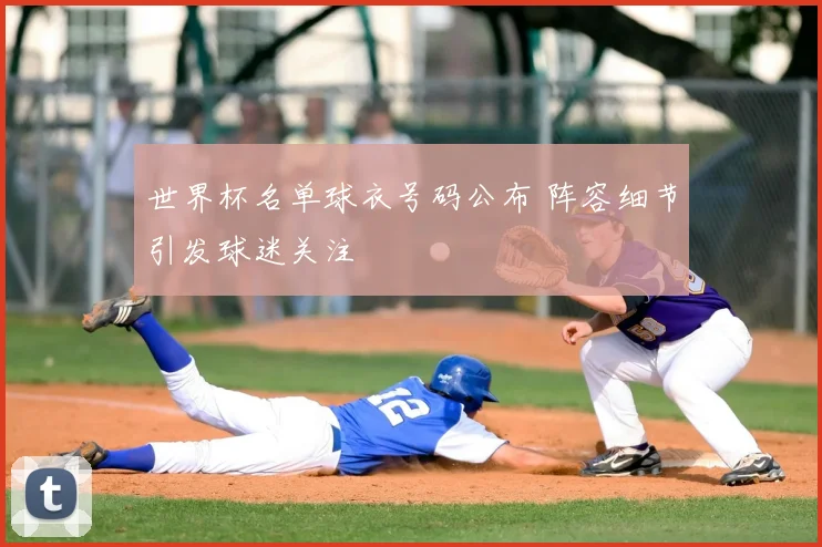 世界杯名单球衣号码公布 阵容细节引发球迷关注