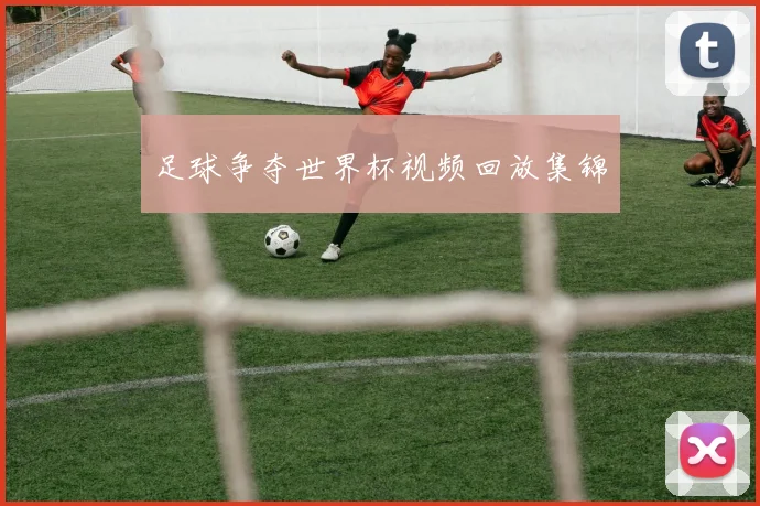 足球争夺世界杯视频回放集锦